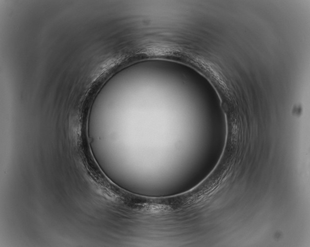 X0000100840539200806271115