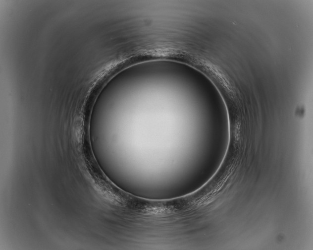 X0000100840540200806271115