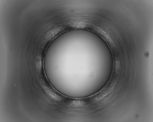 X0000100840541200806271115