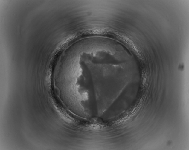 X0000100840542200806271115