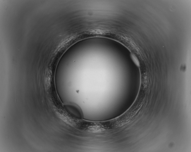 X0000100840544200806271115