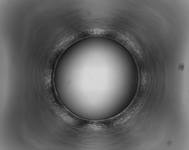 X0000100840545200806271115