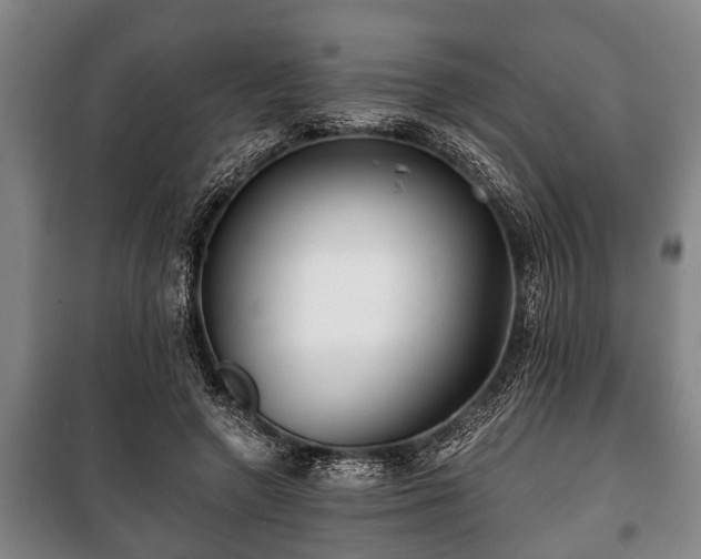 X0000100840546200806271115