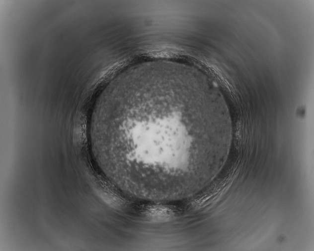 X0000100840547200806271115