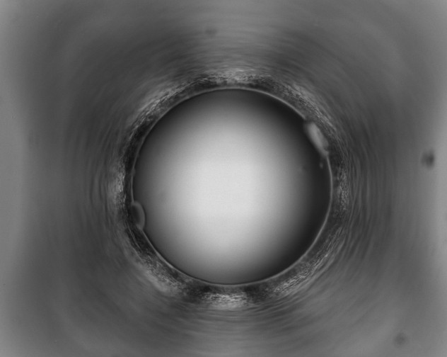 X0000100840548200806271115