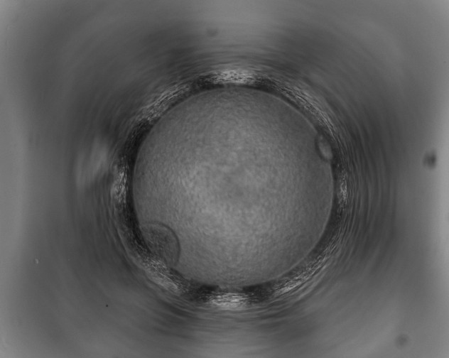 X0000100840551200806271115