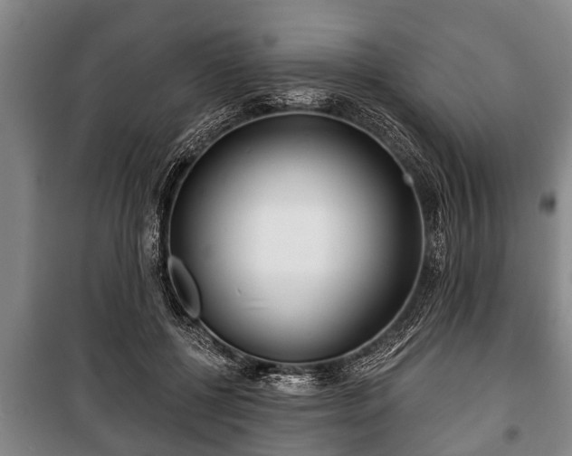 X0000100840552200806271115