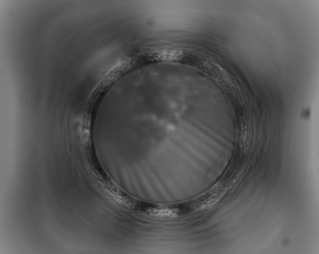 X0000100840553200806271115