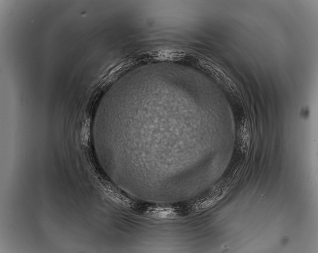 X0000100840554200806271115