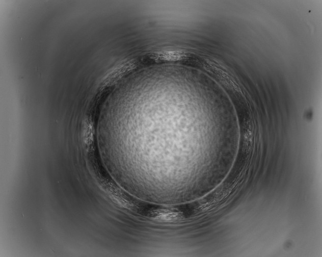 X0000100840555200806271115