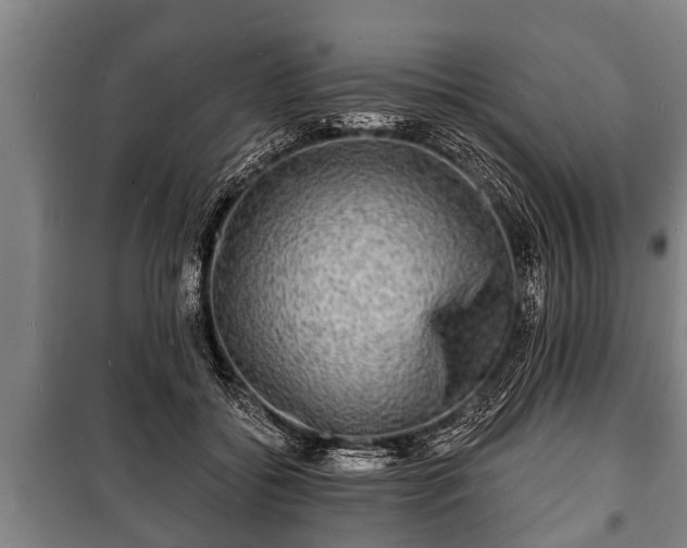 X0000100840556200806271115