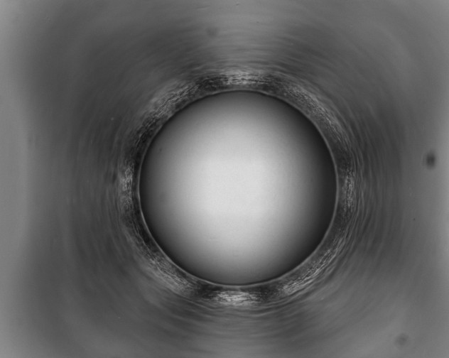 X0000100840557200806271115