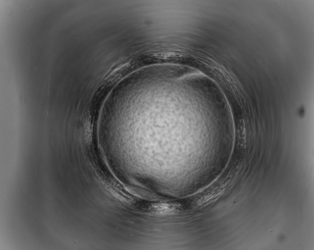 X0000100840558200806271115