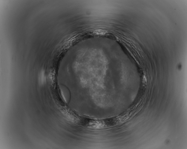 X0000100840559200806271115