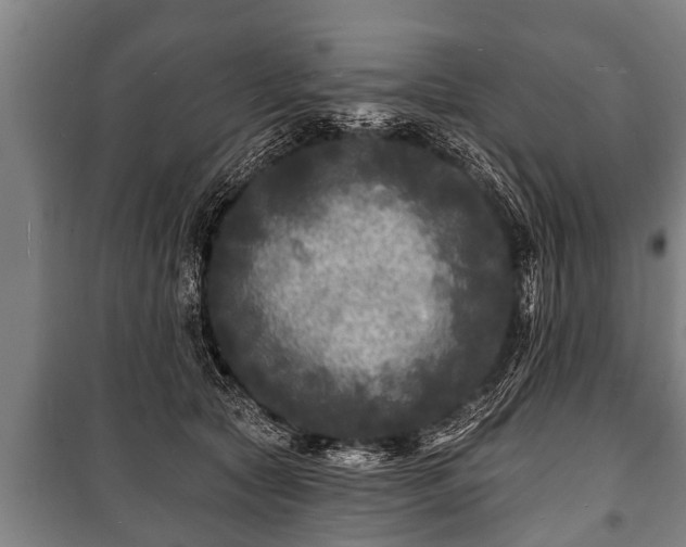 X0000100840561200806271115