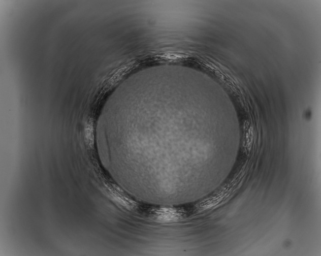 X0000100840562200806271115