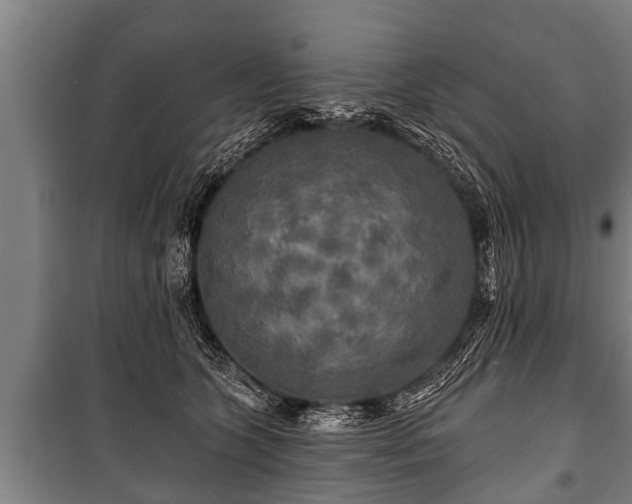 X0000100840563200806271115