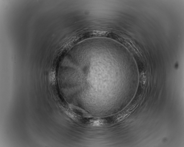 X0000100840564200806271115