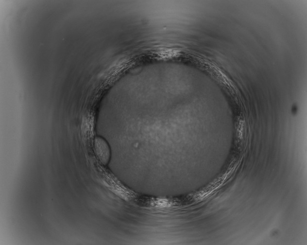 X0000100840565200806271115