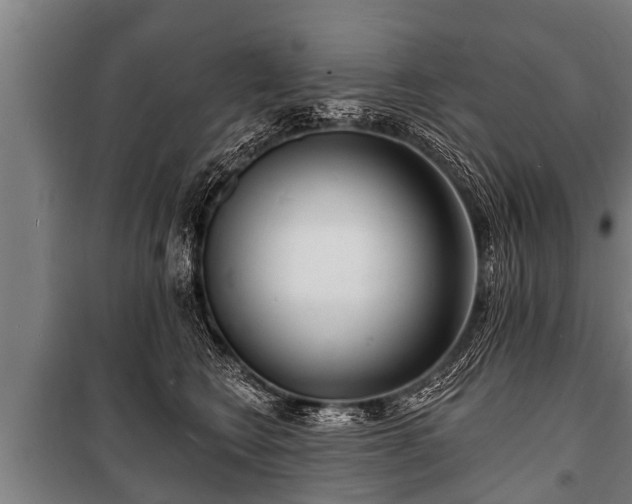 X0000100840566200806271115