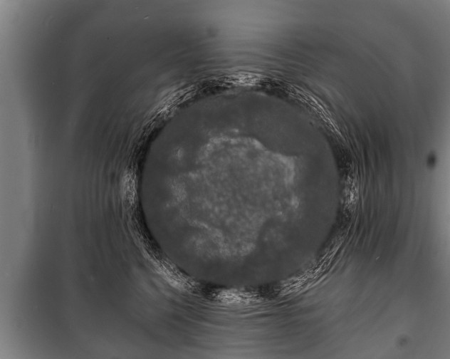 X0000100840568200806271115