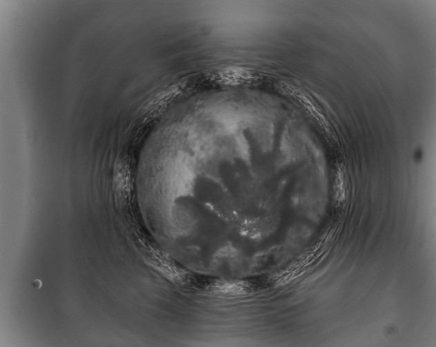 X0000100840569200806271115