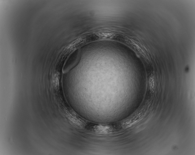 X0000100840570200806271115