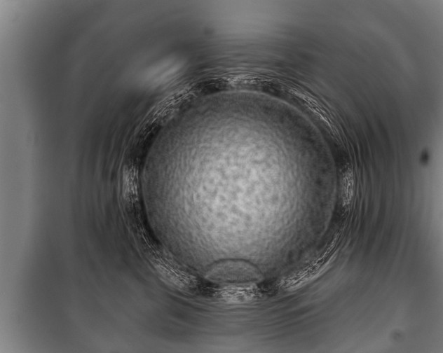 X0000100840571200806271115