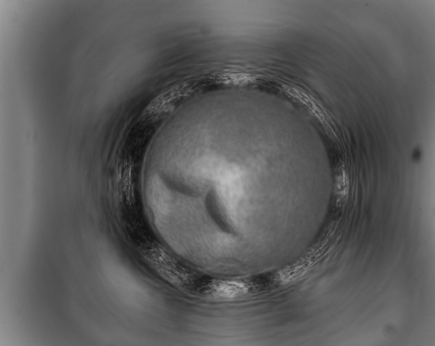 X0000100840572200806271115