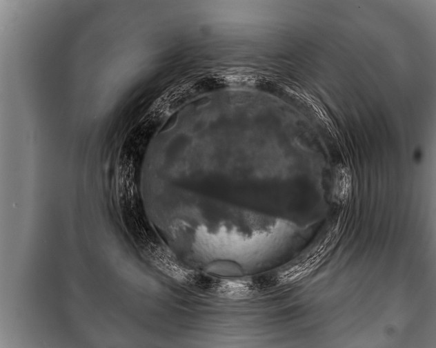 X0000100840573200806271115