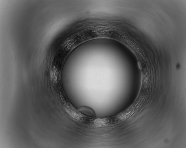 X0000100840574200806271115