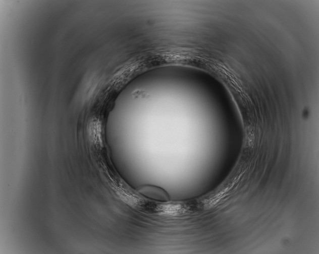 X0000100840575200806271115