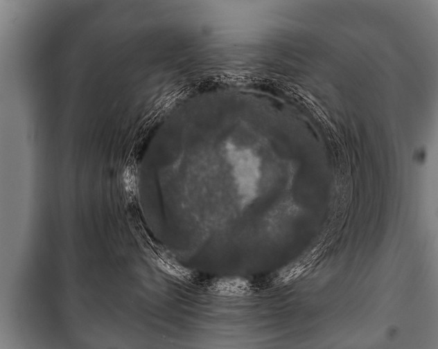 X0000100840576200806271115