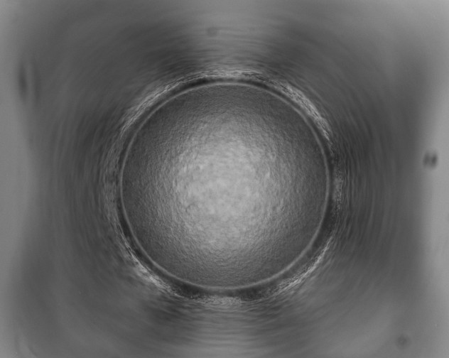 X0000100840577200806271114