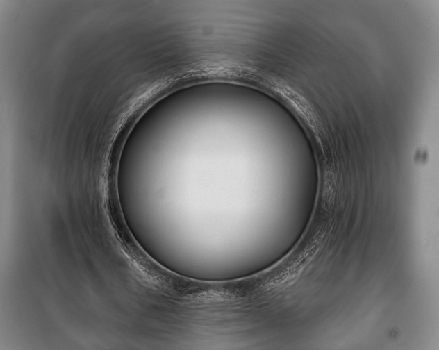 X0000100840578200806271114