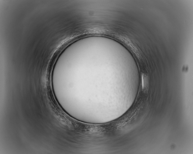 X0000100840579200806271114