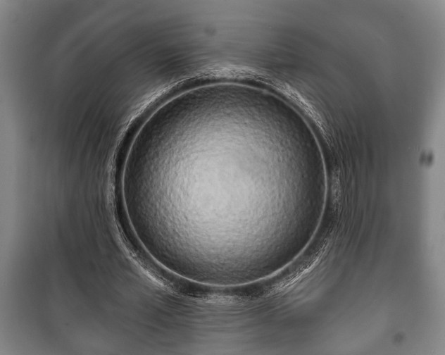 X0000100840581200806271114