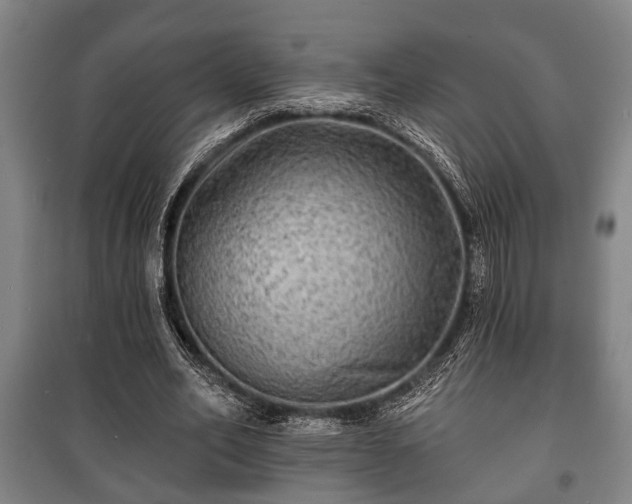 X0000100840582200806271114