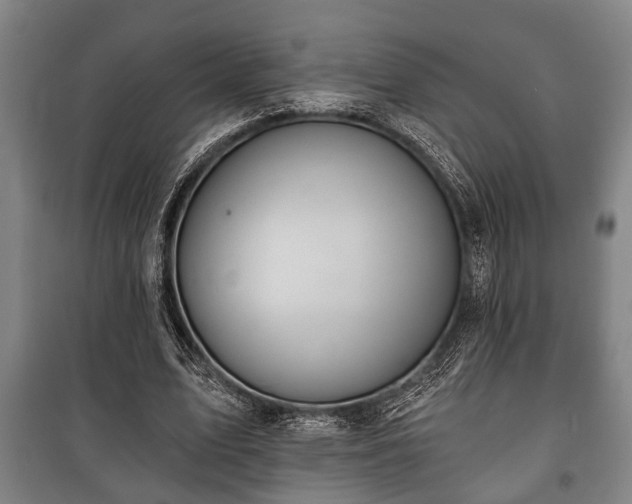 X0000100840583200806271114