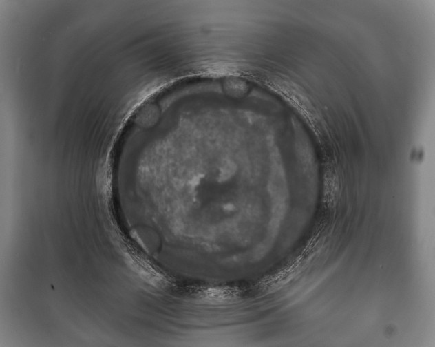 X0000100840584200806271114