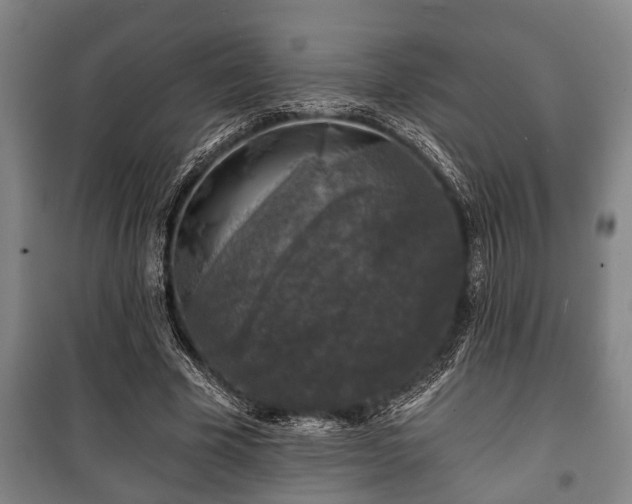 X0000100840585200806271114