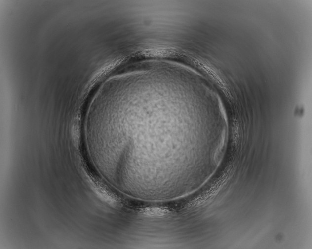 X0000100840586200806271114