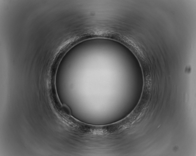 X0000100840587200806271114