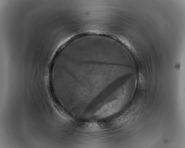 X0000100840588200806271114