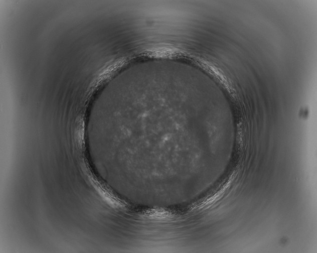 X0000100840589200806271114