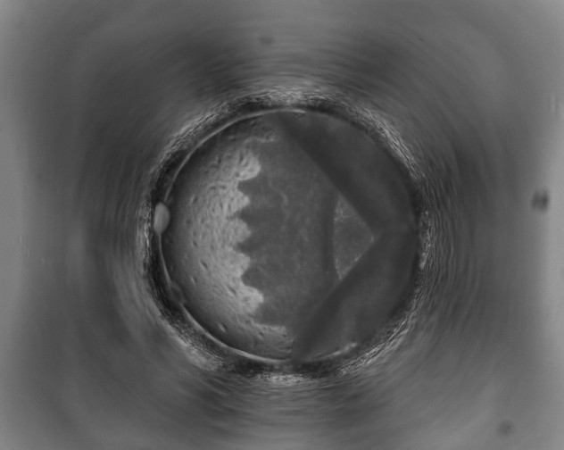 X0000100840590200806271114