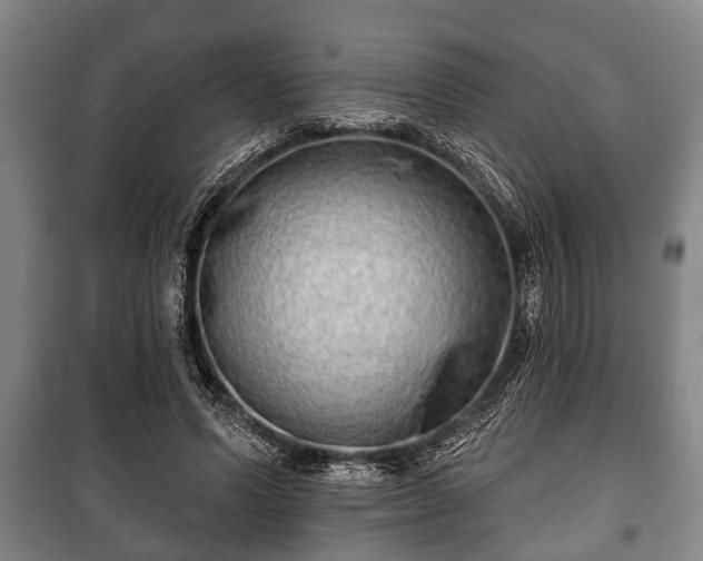 X0000100840591200806271114