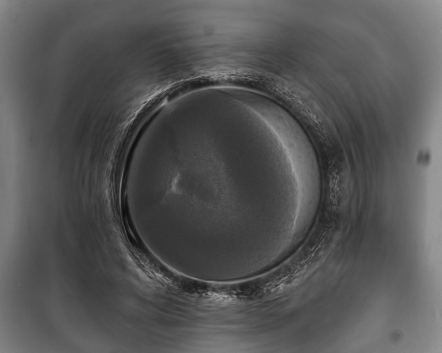 X0000100840592200806271114