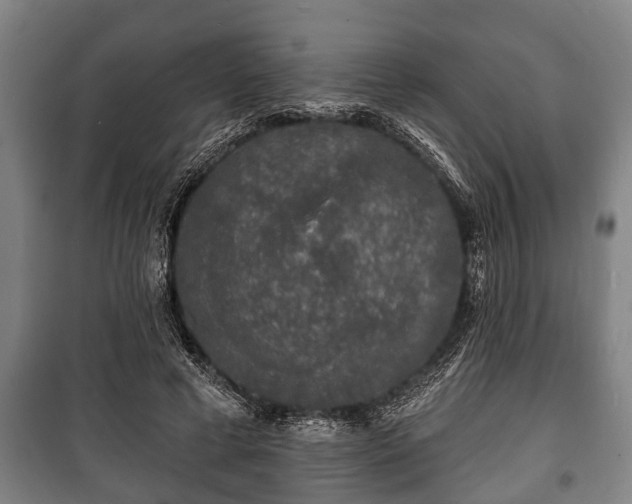 X0000100840593200806271114