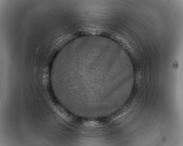 X0000100840594200806271114